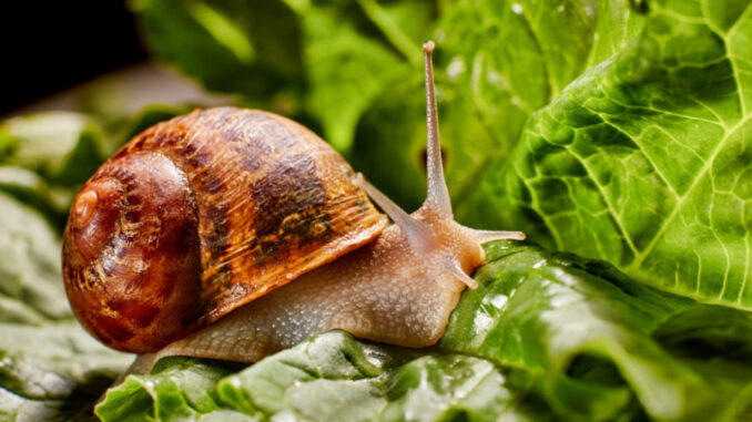 49969_shutterstock-1341770150_f