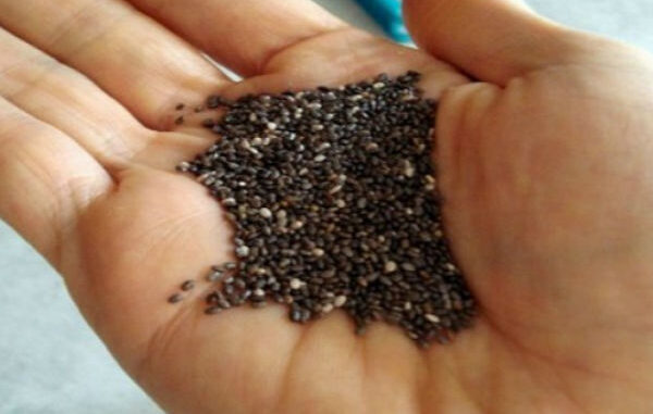 Chia-Sjeme