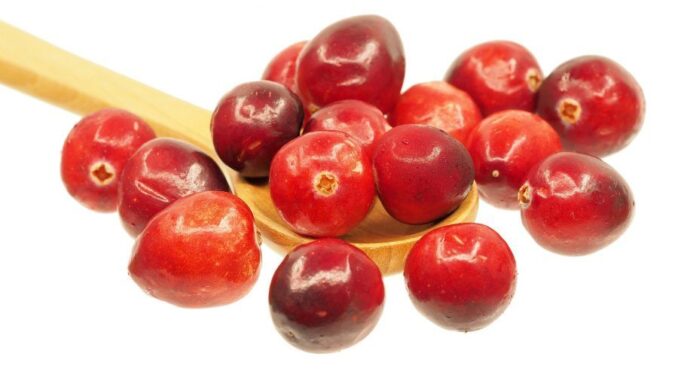 brusnica-djelovanje-ljekovitost-kapsule-cranberry-e1553523205173