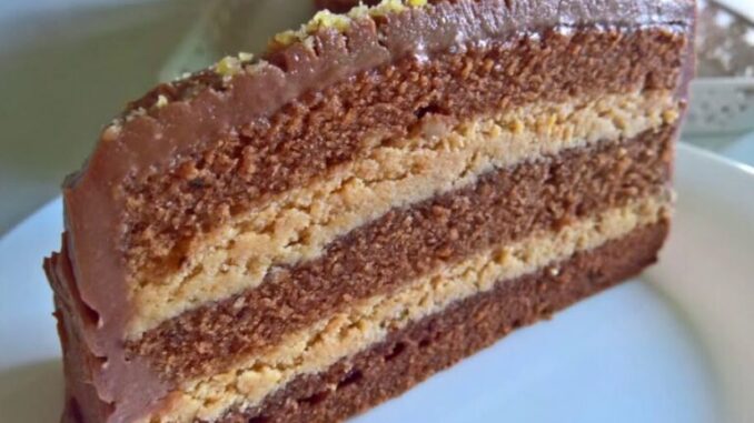 plazma-torta-kuvajmo-lako-768x475