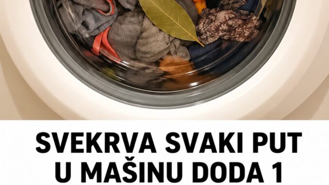 294ca52c-74c9-4d00-96bd-aae7a3ec92c6