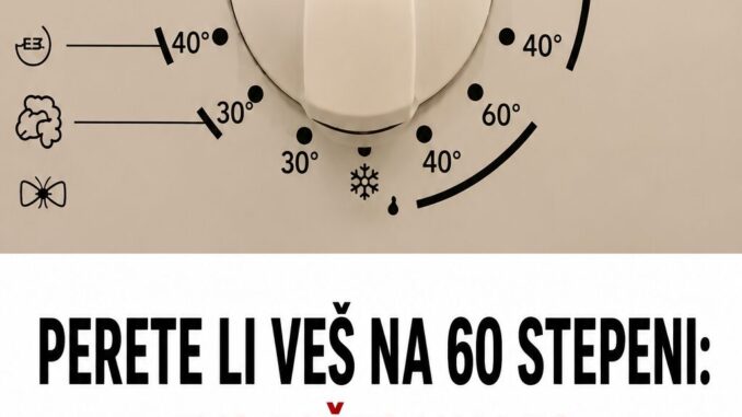 c5ac42cd-c42d-4791-b876-ab738ceb3334