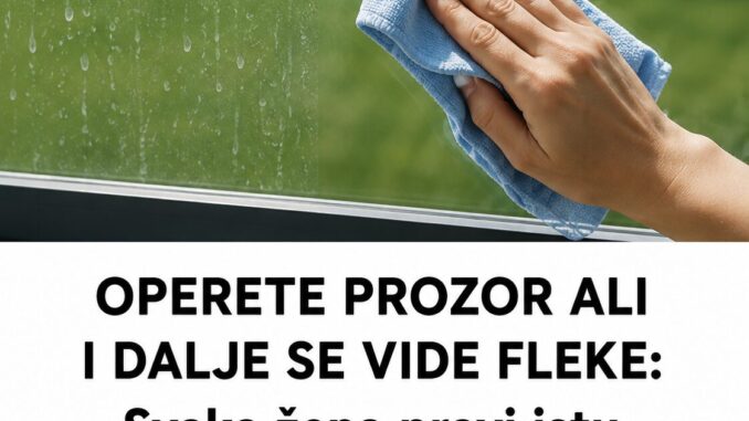 c5e3f8c5-a8f5-456f-9f44-adb11ae502bc