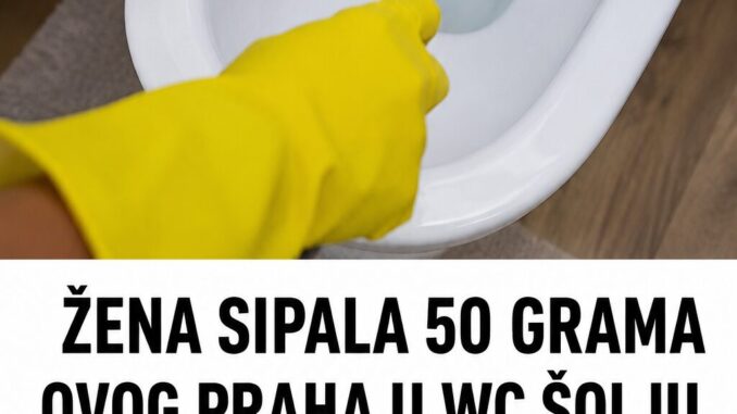 d4238800-017e-4da1-8d5e-979dfdfd5b86