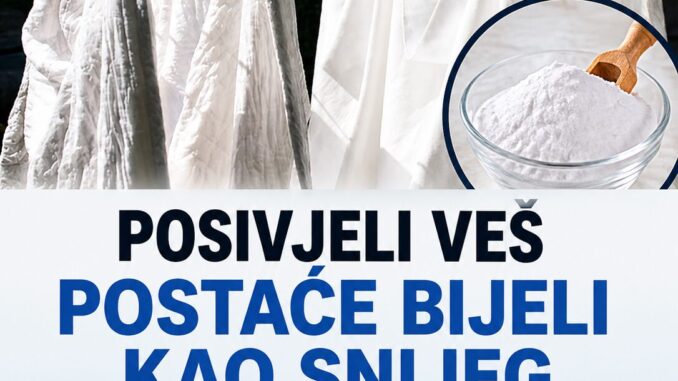 ffc9b7d0-d315-48b1-8e1d-011c669f3090
