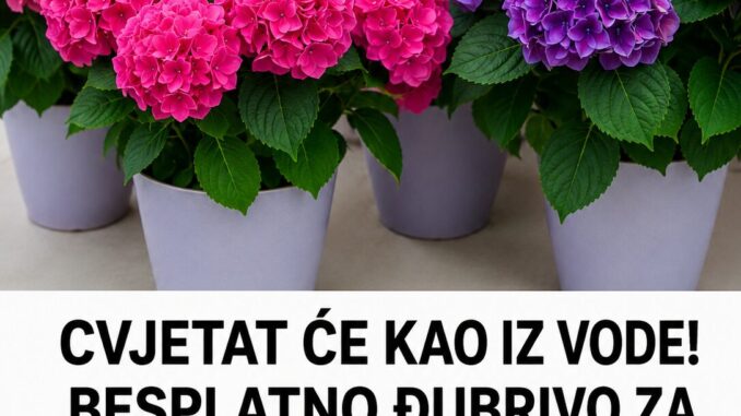 file_0000000068387246bb71c485b8276b9c